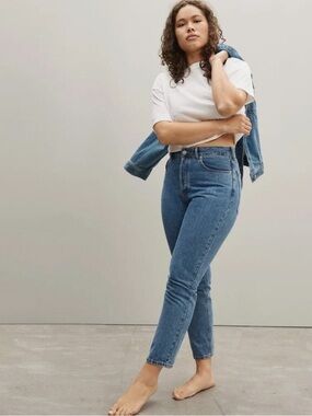 Everlane Curvy ’90s Cheeky Straight Jeans Northridge Wash Ankle Size 26